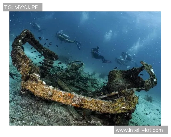 加莱诺的艺术魅力与文化影响力探讨:从历史到现代的多维视角分析