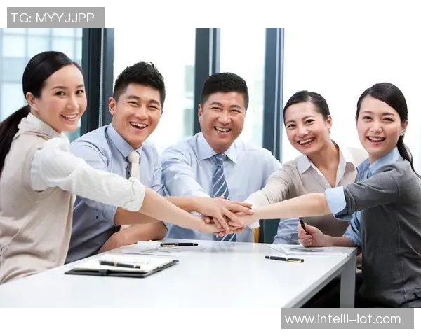 数据分析揭示V5团队协作表现的优势与改进空间